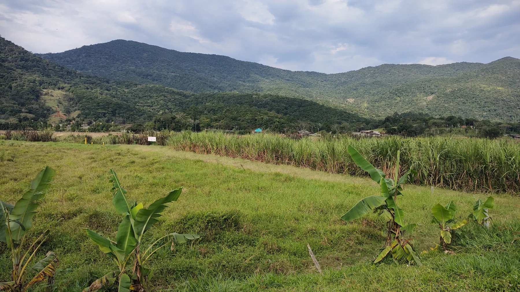 Paisagem da propriedade de 27 hectares na Estrada da Palha, Camboriú